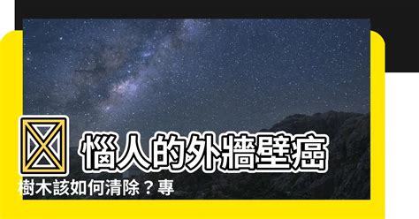 外牆植物處理|【外牆除樹】 惱人的外牆壁癌樹木該如何清除？專家出招輕鬆解決！